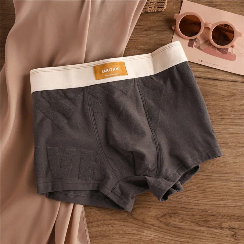 EXILIENS Jacquard Boxer Vyriški apatiniai medvilniniai Calzoncillos Slips Hombre Vyriški Boksai Cuecas Masculinas Vyriškos kelnaitės L-3XL K101-JL