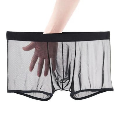 Sexy Lace Underpants Summer Thin Mesh Breathable Seamless Men`s Panties Transparent Ice Silk Briefs Middle Waist Boxers