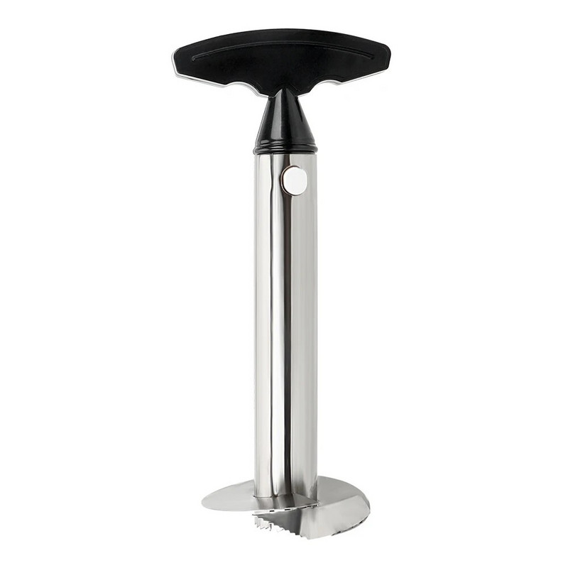 HILIFE šerdies žievelės pjaustyklė vaisiams daržovėms peilis nerūdijančio plieno įtaisas virtuvės priedai Ananasų skustukas spiralizatorius