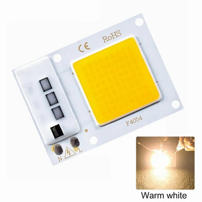 10W 20W 30W 50W LED COB lampa Bead AC 220V 240V IP65 Smart IC Nema potrebe za upravljačkim programom DIY reflektor Led žarulja Reflektor Vanjska čip lampa