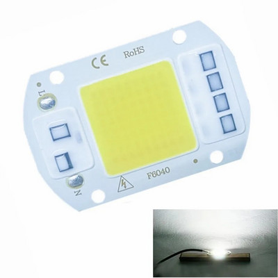 10W 20W 30W 50W LED COB lampa Bead AC 220V 240V IP65 Smart IC Nema potrebe za upravljačkim programom DIY reflektor Led žarulja Reflektor Vanjska čip lampa