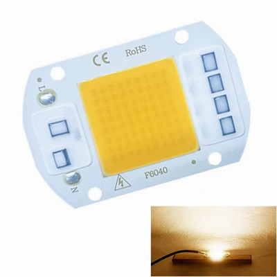 10W 20W 30W 50W LED COB lampa Bead AC 220V 240V IP65 Smart IC Nema potrebe za upravljačkim programom DIY reflektor Led žarulja Reflektor Vanjska čip lampa