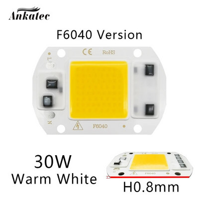 LED COB lampa čip 10W 20W 30W 50W AC110V 220V Smart IC LED perle DIY za LED reflektor Reflektor COB čip Hladna bijela Topla bijela