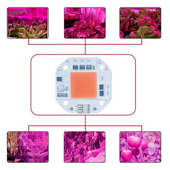 AC220V LED COB ЧИП Без заваряване 20W 30W 50W 110V Пълен спектър Растеж на растения студено бяло топло бяло светлинно излъчващ диод LED матрица