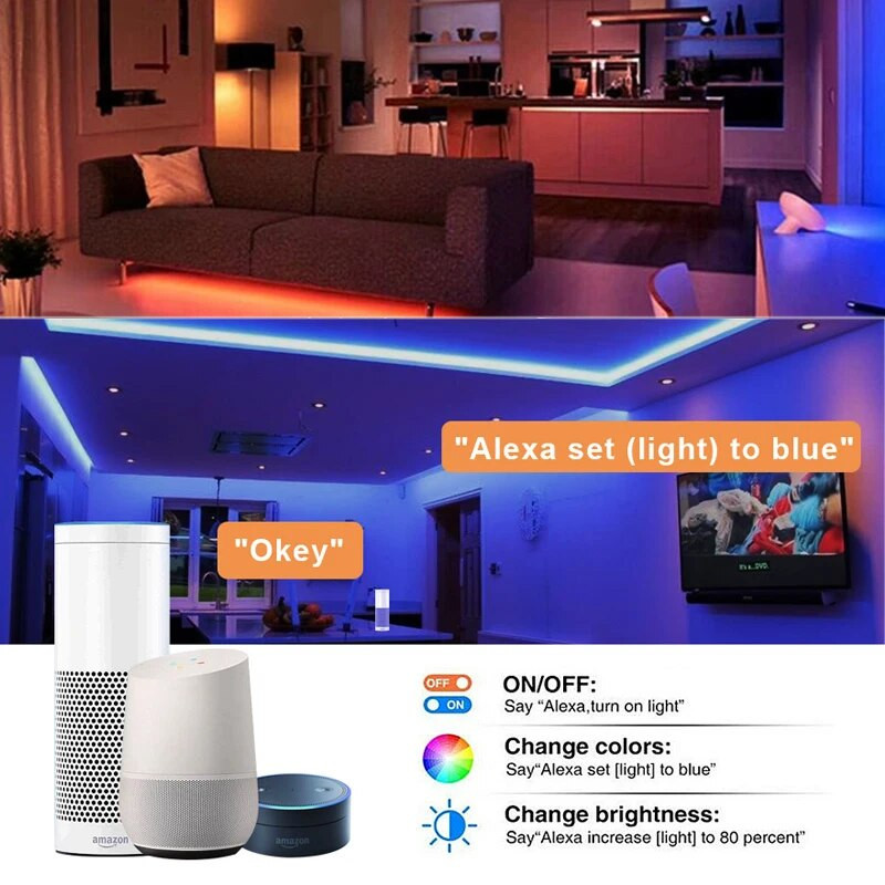 Tuya Smart Life Dimmer DC12 DC24V DC5V USB Wifi 5050 RGB/RGBW/RGBCCT LED svjetlosna traka Jednobojni kontroler za Alexa Google