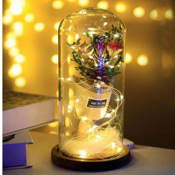 Μπαταρία USB Χάλκινο σύρμα φωτιστικό γιρλάντα 30M LED String Lights Εξωτερικός αδιάβροχος φωτισμός νεράιδων Για Χριστουγεννιάτικη διακόσμηση γάμου