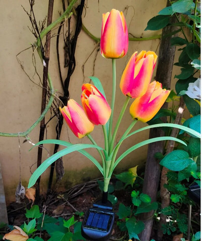 Vanjska LED solarna svjetiljka RGB Lampa za cvijet tulipana Pejzaž Svjetiljka za travnjak u dvorištu Vodootporna vrtna kolac Umetnite solarno svjetlo od ruže i ljiljana