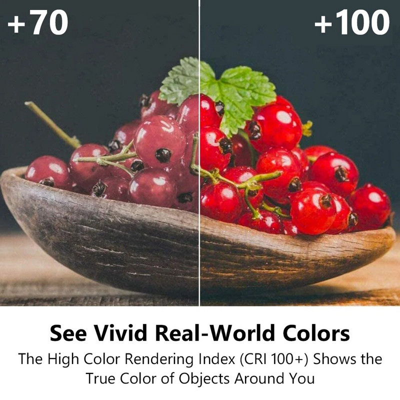 20kom 12V G4 halogene žarulje JC Bi-Pin LED svjetiljka 5W 10W 20W 35W 50W topla bijela za lustere za rasvjetu ispod ormarića