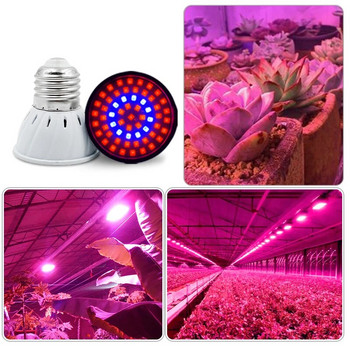 Фитолампа Пълен спектър LED Grow Light AC220V 230V E27 E14 MR16 GU10 Лампа за растения Фитолампа за разсад на закрито Flower Fitolampy