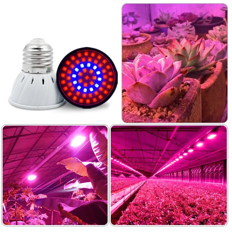 Phyto Lamp Full Spectrum LED Grow Light AC220V 230V E27 E14 MR16 GU10 Plant Lamp Fitolamp For Indoor Sadnice Flower Fitolampy