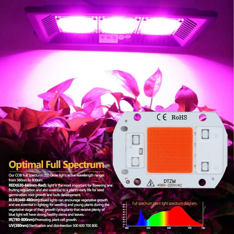 220 V LED lustas 10 W 20 W 30 W 50 W COB lustas Nereikia tvarkyklės išmaniojo IC LED lempos karoliuko, skirto potvynių prožektorių augalų šviesai pasidaryk pats apšvietimui