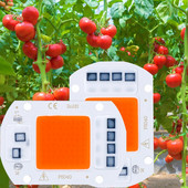 1vnt LED COB mikroschemų diodas Grow Light Viso spektro AC220V 10W 20W 30W 50W LED karoliukų lempa Fitolampa augalų auginimo palapinei Apšvietimas