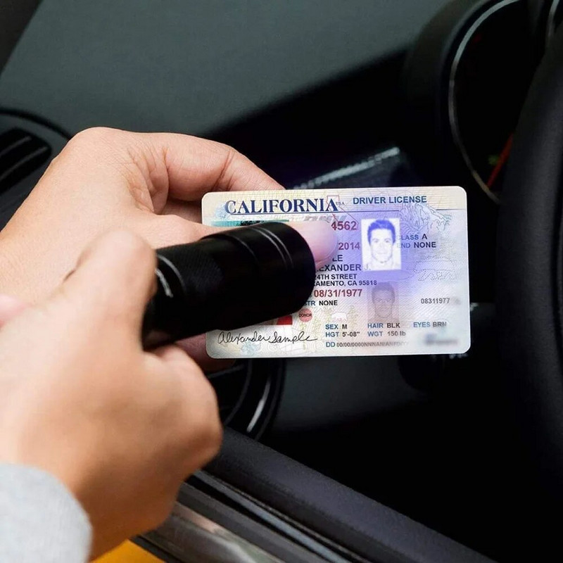 UV Ultra rankinis juodos šviesos vandeniui atsparus juodas žibintuvėlis 12 LED 395 nm mini šviesos lempos degiklio detektorius naminių gyvūnėlių šlapimo dėmėms