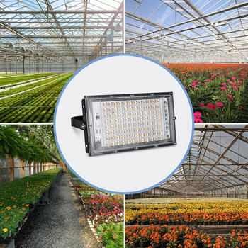 Led светлина за отглеждане на растения Хидропонна лампа LED пълен спектър 220V LED фитолампи Осветление за парникови семена Осветление за отглеждане на цветя 50W 100W