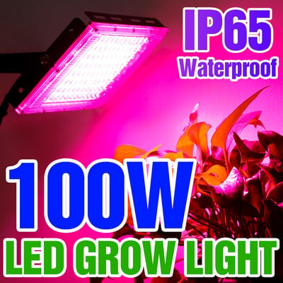 Led Grow Light Plant Hidroponikus lámpa LED Teljes spektrumú 220V LED Fitolámpák Fény üvegházhatású magvak Virágtermesztés Világítás 50W 100W