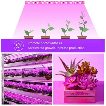 5M Led Plant Grow Light Пълен спектър Фито лампа Лента за семена Цветна парникова палатка Хидропонно водоустойчиво осветление на растения