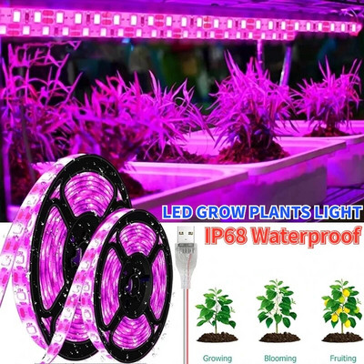 5M Led Plant Grow Light Пълен спектър Фито лампа Лента за семена Цветна парникова палатка Хидропонно водоустойчиво осветление на растения