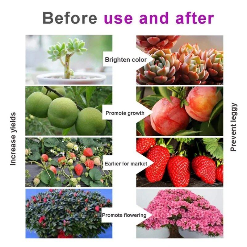 5M Led svjetlo za rast biljaka, fito lampa punog spektra, traka za sjemenke, šator za staklenike za cvijeće, hidroponsko vodootporno osvjetljenje biljaka