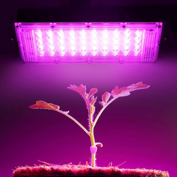 50W LED Grow Light Пълен спектър AC 220V Прожектор за растения Прожектор за парникови растения Хидропонни растения Прожектор LED Лампа за растеж на растения