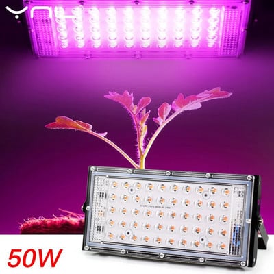 LED Grow Light fitolámpa AC 220V 50W LED teljes spektrumú reflektor beltéri kültéri üvegházhatású növény hidroponikus növényi spotlámpája