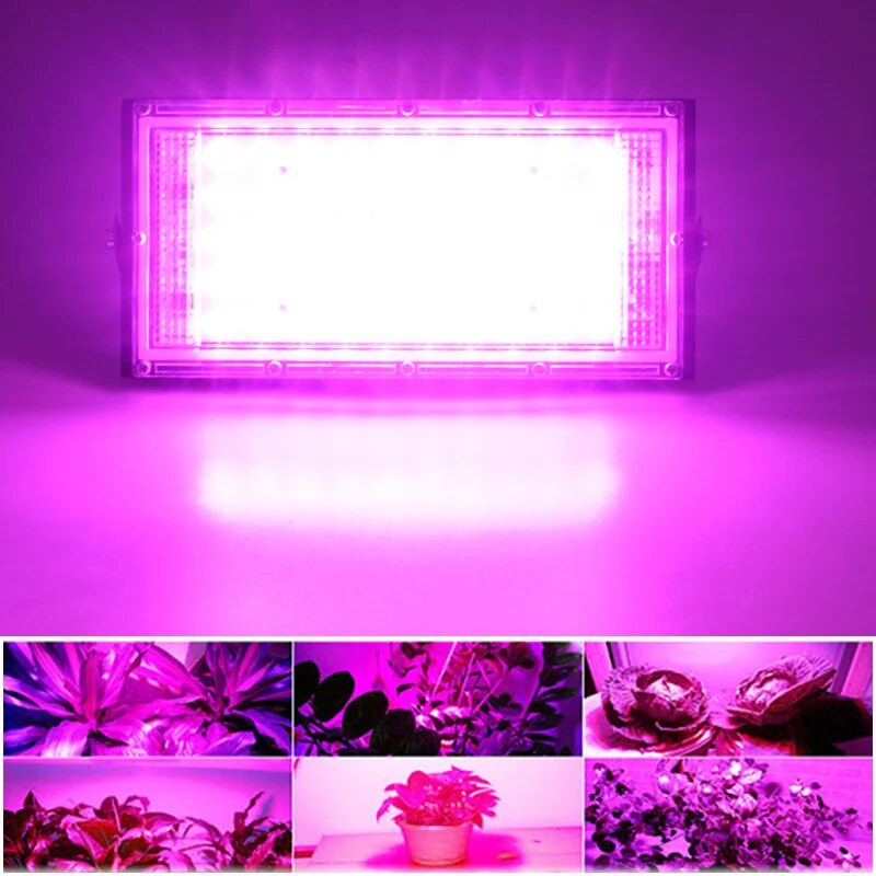LED Grow Light fitolámpa AC 220V 50W LED teljes spektrumú reflektor beltéri kültéri üvegházhatású növény hidroponikus növényi spotlámpája