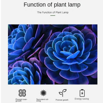 Светодиодна лампа за отглеждане на закрито Допълнителна светлина Лампи за отглеждане на растения Оранжерия Фито лампа Grow Червена и синя хидропонна светлинна лента