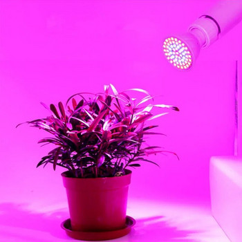 LED Plant Grow light πλήρους φάσματος Λαμπτήρας φυτικής λάμπας ηλιακού φωτός ανάπτυξης λουλουδιών για φυτικό λαμπτήρα εσωτερικού χώρου Φωτισμός σκηνής Hydro growbox