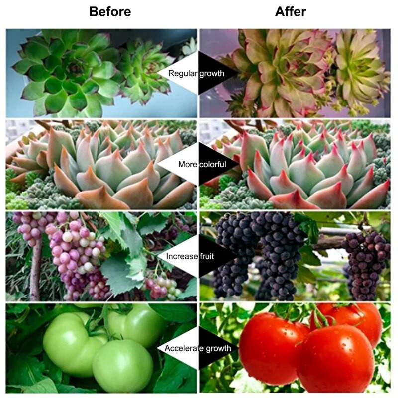 LED kasvuvalgusti siseruumides lisavalgustid taimede kasvuvalgustid kasvuhoone fütovalgustid punased sinised hüdropoonilised kasvuvalgustid