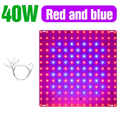 LED svjetiljka za rast Kvantna ploča s punim spektrom, fitolampa za sobne biljke, hidroponika, svjetiljka za uzgoj sjemenki cvijeća, kutija za uzgoj
