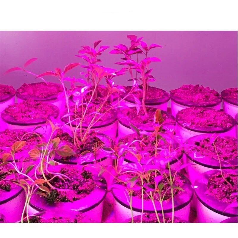 LED Grow viso spektro lemputė E27 E14 GU10 MR16 220 V šiltnamio efektą sukeliančių hidroponinių lempų auginimo lemputė, skirta patalpų augalams 230 V fito gėlių lempa
