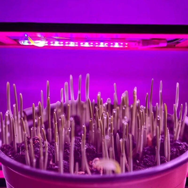 USB 5V Svjetlo za uzgoj biljaka Svjetiljka punog spektra Unutarnji fitostaklenik za biljke, cvijeće, sadnice povrća, hidroponičko barsko svjetlo