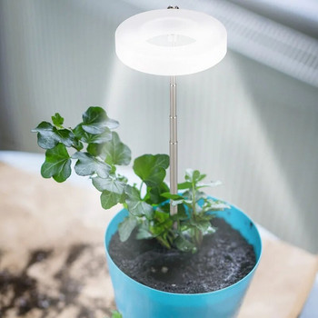 LED прибираща се светлина за растения Grow Light Ангелски пръстен Сукулентна светлина Пълен спектър Таймер за цветя Запълваща светлина за растения за стайни растения
