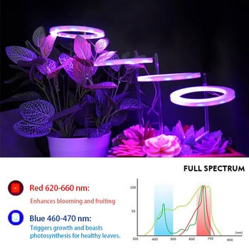 Led Angel Ring Grow Plant Light DC5V USB Phytolamp For Plants Led Full Spectrum Lamp for Indoor Fitness Home Flower Succulet