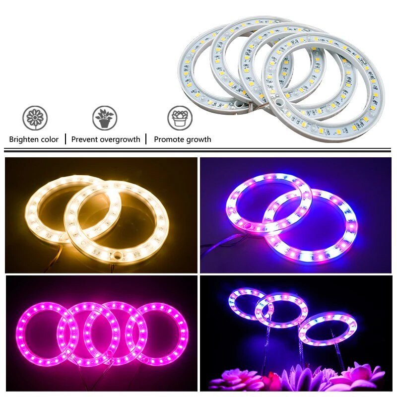Led anđeoski prsten Svjetlo za uzgoj biljaka DC5V USB fitolampa za biljke Led svjetiljka punog spektra za sobne sadnice Kućni cvjetni sukulet