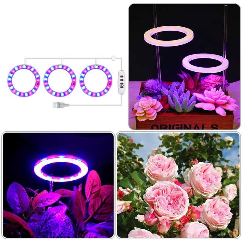 Led anđeoski prsten Svjetlo za uzgoj biljaka DC5V USB fitolampa za biljke Led svjetiljka punog spektra za sobne sadnice Kućni cvjetni sukulet