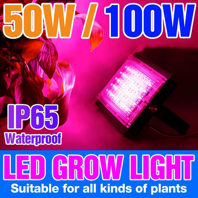 LED Plant Grow Light Teljes spektrumú hidroponikus fitolámpa ültetéshez, növényi magvak termesztéséhez üvegházi termesztési sátor reflektor