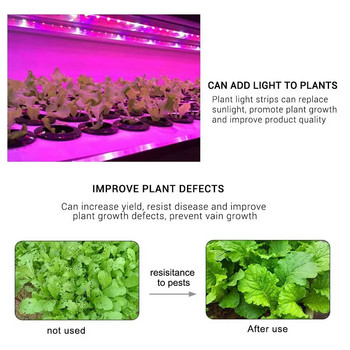 3M 5V USB Led Plant Grow Light Strip Full Spectrum Phyto Lamp for Seeds Flower Greenhouse Tent Hydroponic Plants Lighting