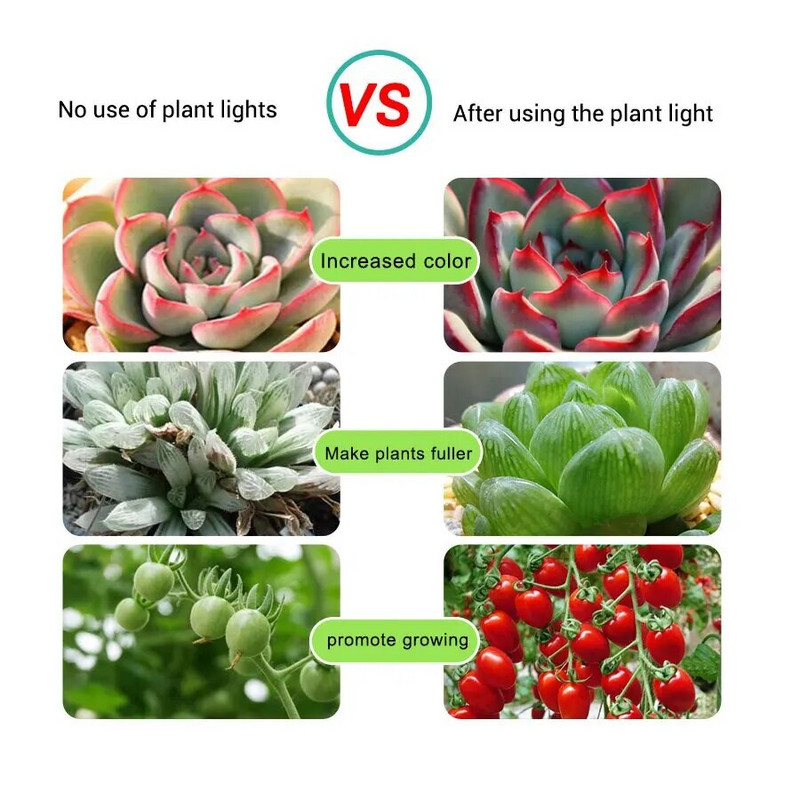 3M 5V USB LED augalų augimo šviesos juostelė viso spektro fito lempa sėkloms gėlių šiltnamio palapinė hidroponinių augalų apšvietimas