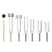 6 vnt / rinkinys 128Hz 256Hz 512Hz 1024Hz 2048Hz 4096Hz kamertonas su plaktuku kamertonui rinkinio gydomojo garso vibracijos įrankis