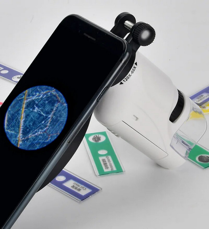 Komplet mini džepnog mikroskopa 60-120x laboratorijski ručni mikroskop, mikroskop na baterije s LED svjetlom, dječji znanstveni mikroskop