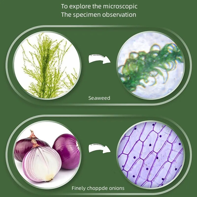 80-200X käeshoitav MINI-mikroskoop koos LED-i bioloogilise mikroskoobiga Lapsed uurivad teadustööriista, lapse kingituse mikroskoopi