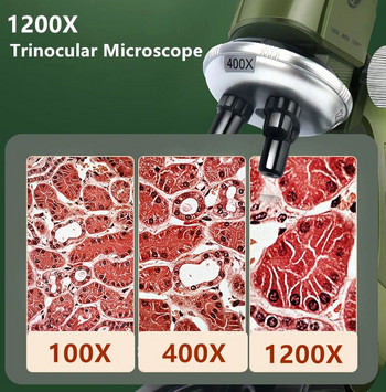 Комплект микроскоп Lab LED 100X-400X-1200X Биологичен микроскоп Домашно училище Наука Образователна играчка Подарък за деца Дете