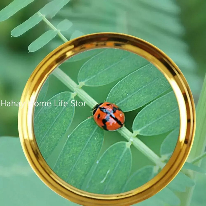 10X povećalo Zlatni zmaj ručka povećalo mini džepni ručni mikroskop čitanje nakit lupa povećala