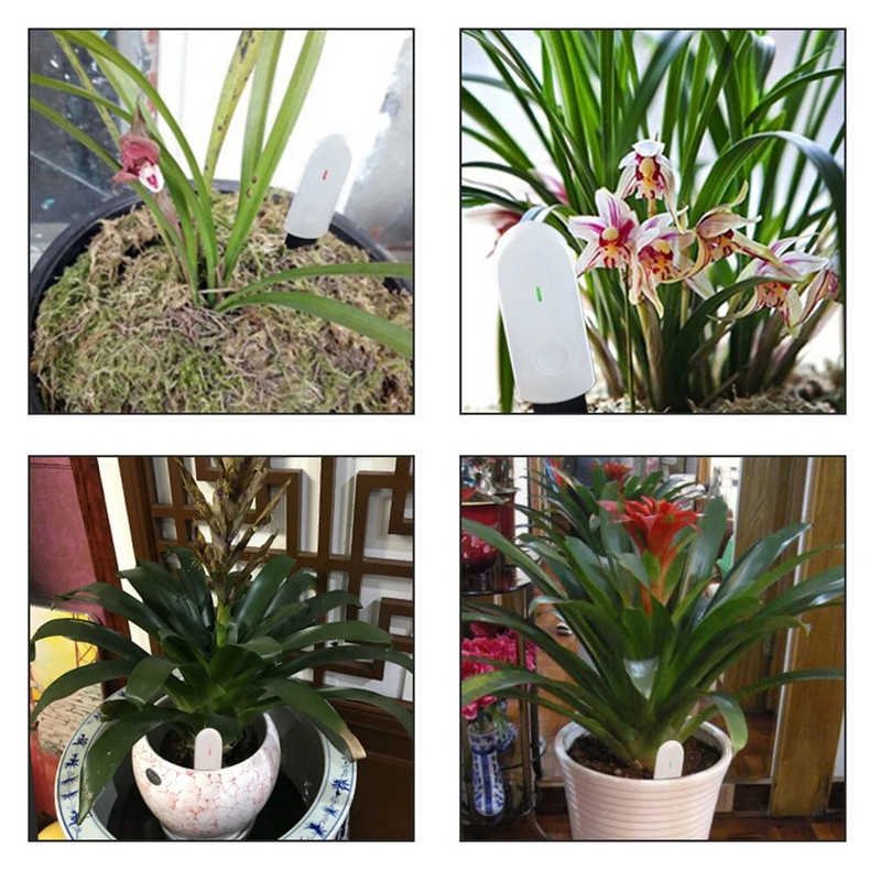 1 ΤΕΜ. Υγρασίας Μετρητής Εδάφους Δοκιμή Υγρασίας Νερού Φυτά Κήπου Φυτά Κήπου Λουλούδι Εδαφομετρητής Υγρασίας Αναλυτής Υγρασόμετρο Εργαλείο κήπου