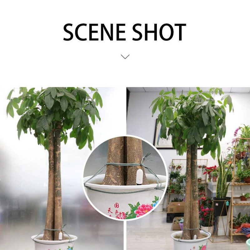 1 ΤΕΜ. Υγρασίας Μετρητής Εδάφους Δοκιμή Υγρασίας Νερού Φυτά Κήπου Φυτά Κήπου Λουλούδι Εδαφομετρητής Υγρασίας Αναλυτής Υγρασόμετρο Εργαλείο κήπου