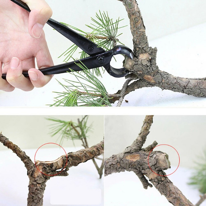 Škare za korijenje Drveće Vrtni alati Bonsai Manganski čelik visoke tvrdoće Loptasti zglob za striženje grana Kliješta za rezanje 8,27 inča