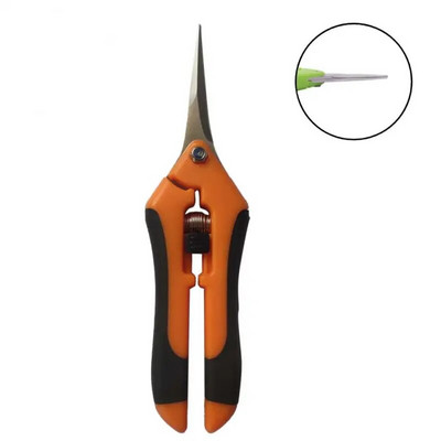 Biljke od nehrđajućeg čelika Voće Škare za branje grožđa Vrtne škare za rezidbu Hortikulturni trimer za lišće Ravni lakat Alati za rezidbu