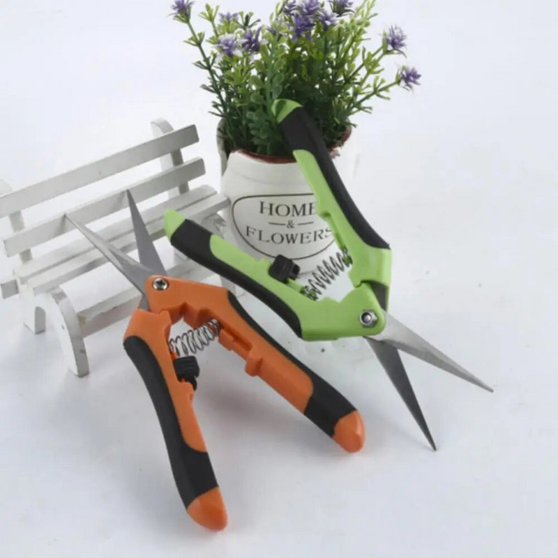 Biljke od nehrđajućeg čelika Voće Škare za branje grožđa Vrtne škare za rezidbu Hortikulturni trimer za lišće Ravni lakat Alati za rezidbu