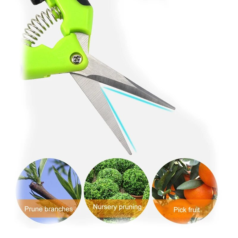 Oțel inoxidabil Capăt drept Cot Crengă de flori Foarfece Anti-alunecare Tăiere Grădinărit Tăiere fructe struguri D Crengă Tundere