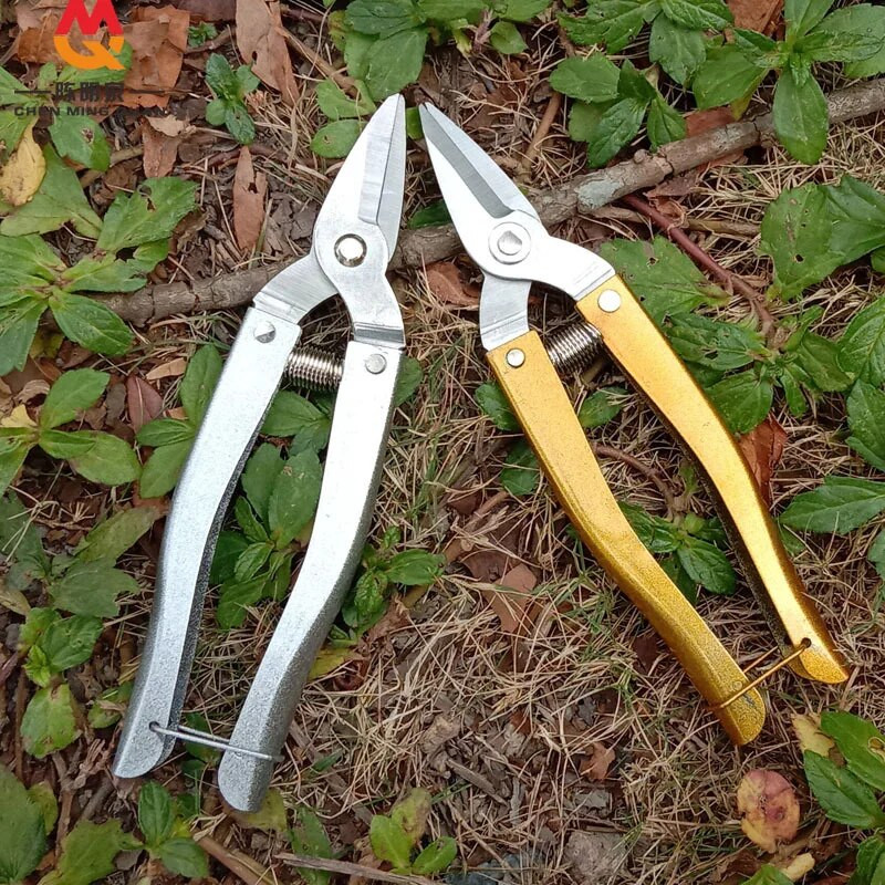 Alat za vrtlarstvo Mini škare za bonsai Škare za grane Vrtne škare za orezivanje Alati za bonsai Škare Pribor za obrezivanje